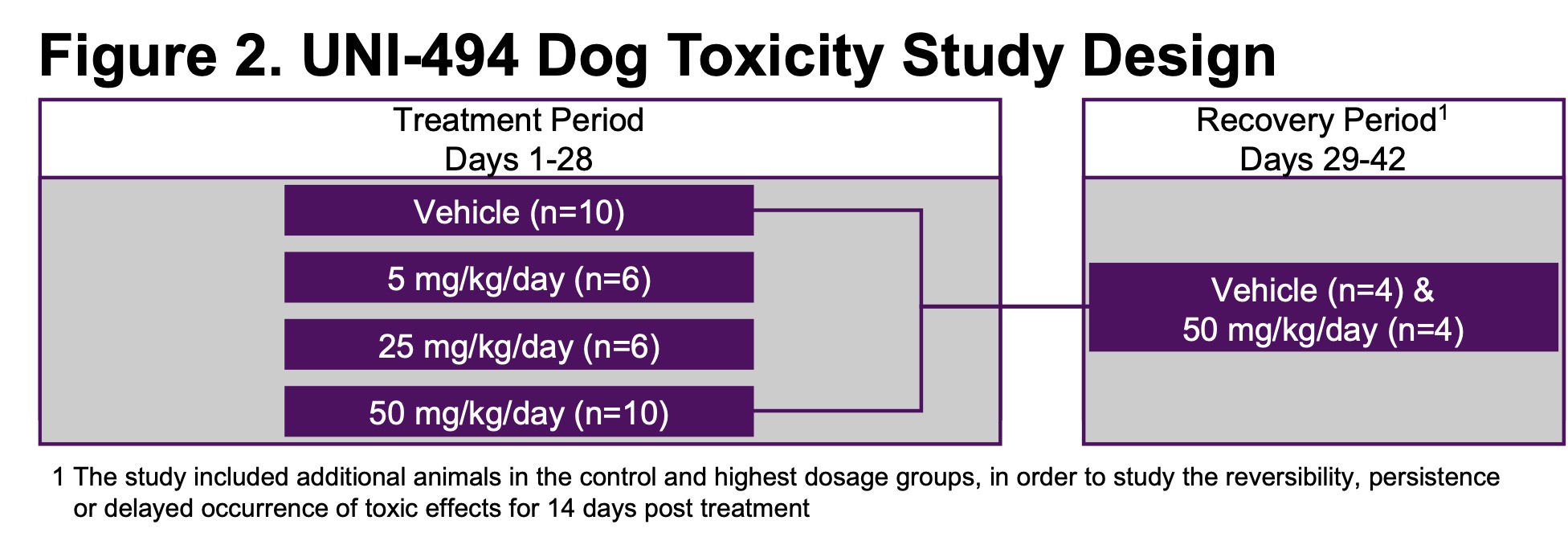 UNI-494 DOG 28-Day Oral Toxicity Study - Unicycive - Dog Stabilizer Toxicity Risks