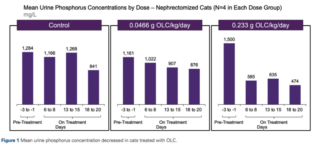 Figure 1 Mean urine phosphorus concentration decreased in cats treated with OLC.