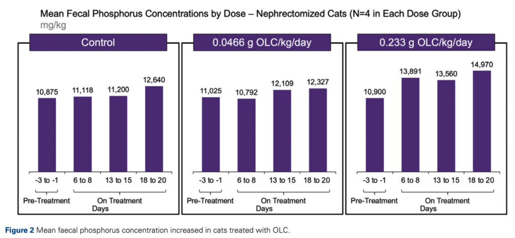 Figure 2 Mean faecal phosphorus concentration increased in cats treated with OLC.