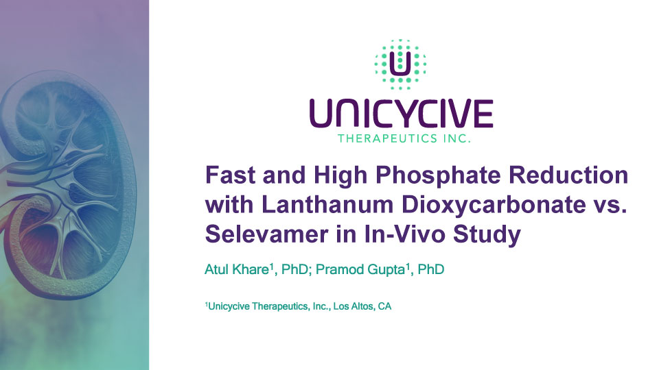 Fast and High Phosphate Reduction with Lanthanum Dioxycarbonate vs. Selevamer in In-Vivo Study