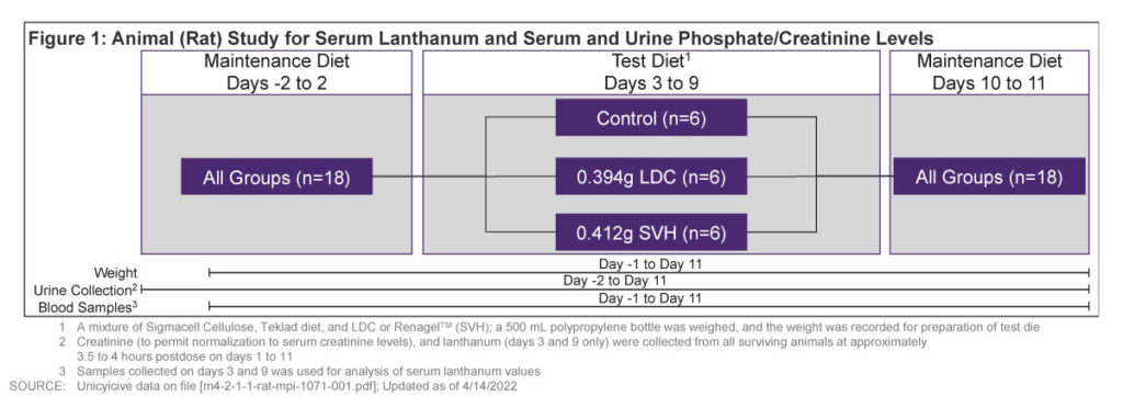 Figure 1: Animal (Rat) Study for Serum Lanthanum and Serum and Urine Phosphate/Creatinine Levels