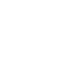 Our Vision